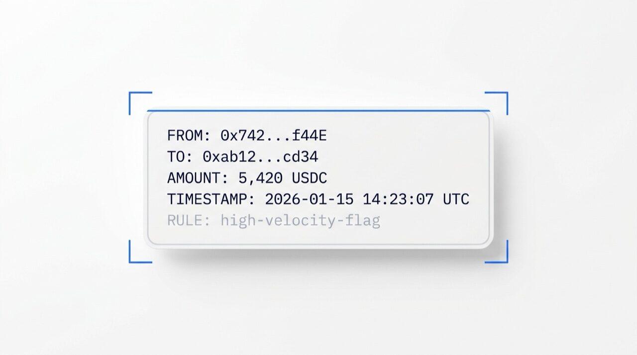 Didit Transaction Monitoring, transaction row scanned with rule-engine and velocity overlays.