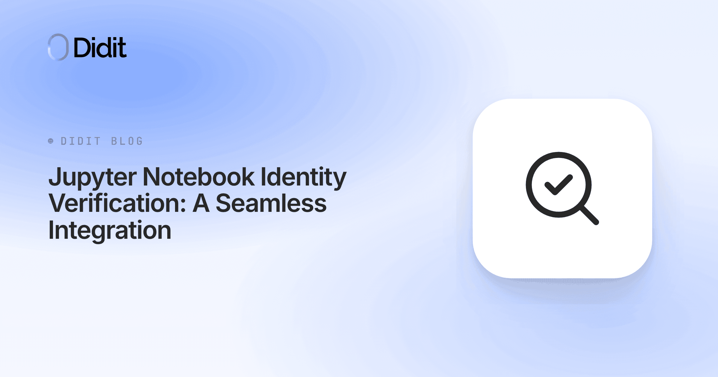 jupyter-notebook-identity-verification.png